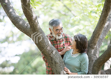 Fresh green senior oshidori couple Fresh green senior oshidori couple 30938597