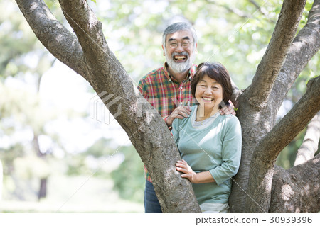 新綠色資深oshidori夫婦 新綠色資深oshidori夫婦 30939396