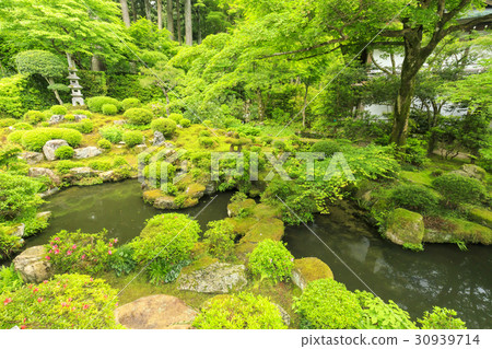 Sanzenin fresh green 30939714