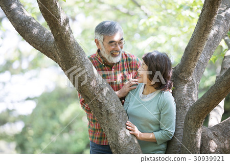 Fresh green senior oshidori couple Fresh green senior oshidori couple 30939921