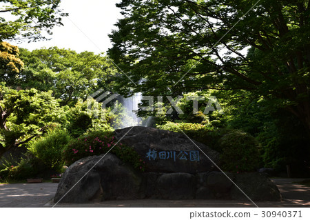 柿田川公園 柿田川公園 30940371