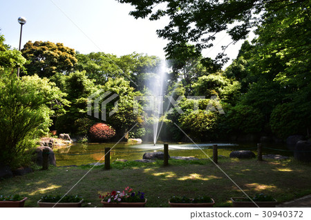 柿田川公園 30940372