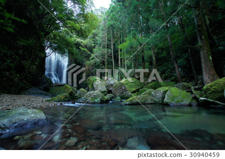 Kuwano樹瀑布 30940459