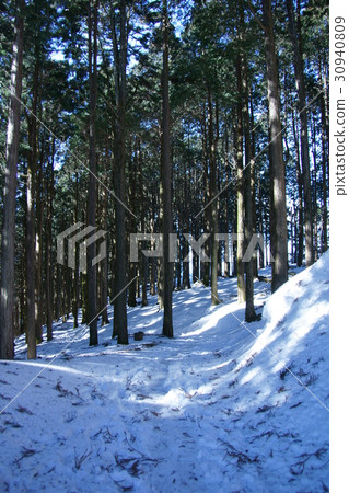 冬天在山 冬天在山 30940809