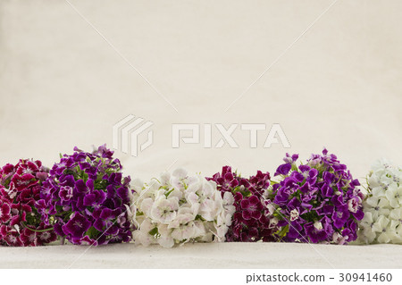 Sweet william flowers bouquet with copy space 30941460