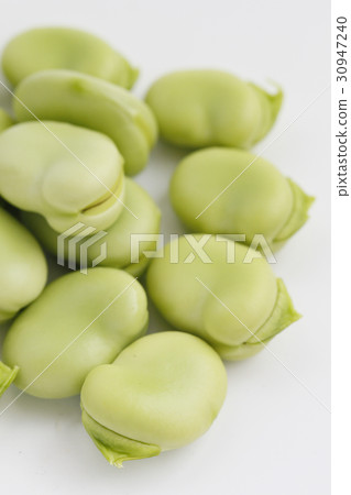 White bean image 30947240