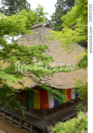 在新綠色包裹的烏龜屋頂 30947250