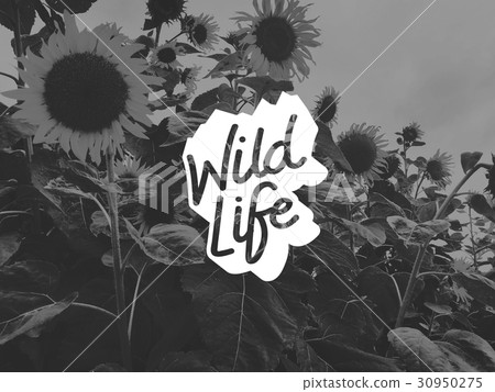 Natural environment is a wild life. 30950275