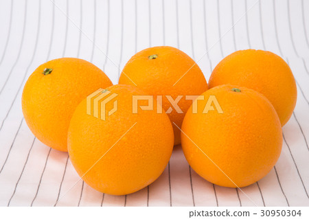 Cooking 058 30950304