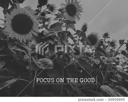 Live Your Dream Positive Enjoy Live Your Dream Positive Enjoy 30950945