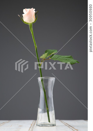 The flowers 084 30950980
