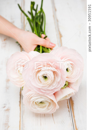 The flowers 237 The flowers 237 30951591