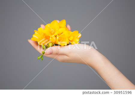 The flowers 219 The flowers 219 30951596