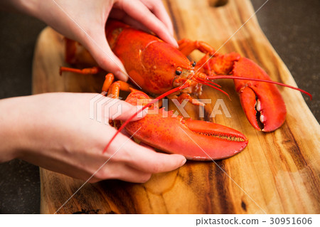 Cooking 361 Cooking 361 30951606