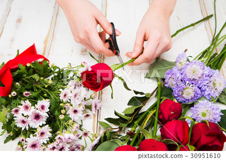The flowers 242 The flowers 242 30951610