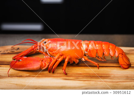 Cooking 366 Cooking 366 30951612