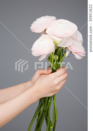 The flowers 203 The flowers 203 30951622