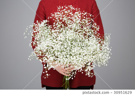 The flowers 232 The flowers 232 30951629