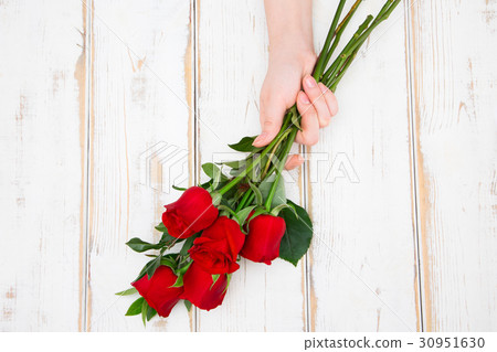 The flowers 226 The flowers 226 30951630