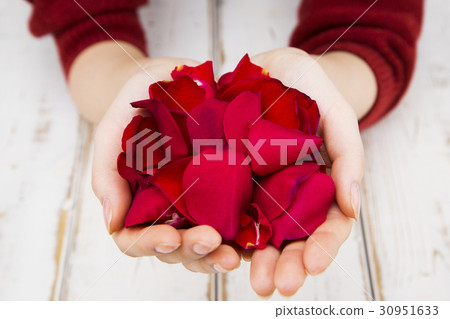 The flowers 235 30951633