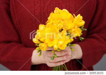The flowers 241 The flowers 241 30951635