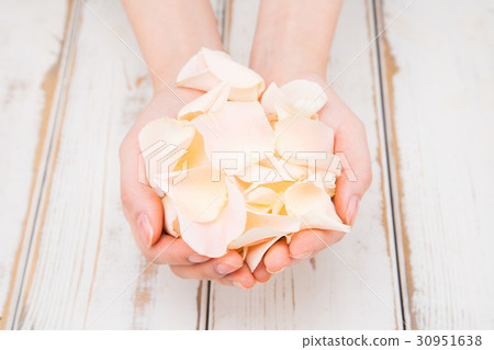 The flowers 247 The flowers 247 30951638
