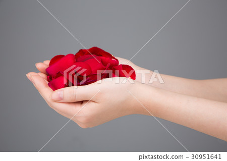 The flowers 236 30951641