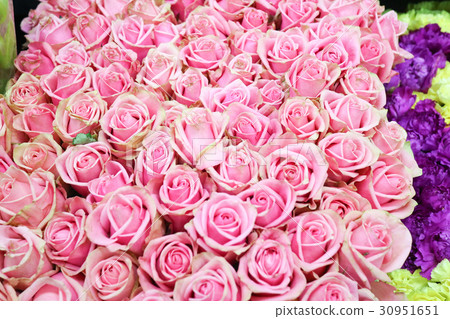 The flowers 250 The flowers 250 30951651