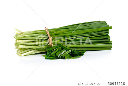 garlic chives isolated on white background garlic chives isolated on white background 30953218