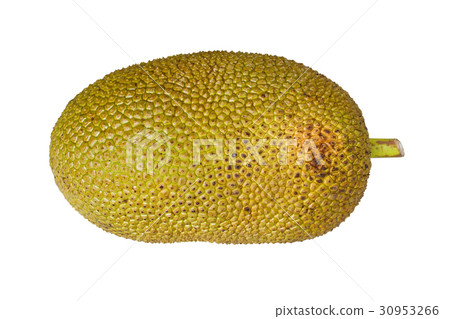 Jack fruit isolated on white background 30953266