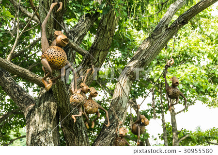 Monkey design wooden model holding and hanging Monkey design wooden model holding and hanging 30955580