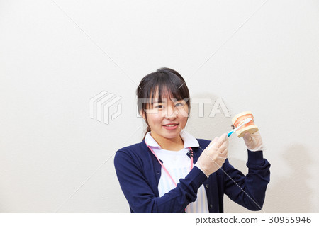 醫學圖像刷牙指導 醫學圖像刷牙指導 30955946