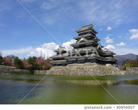 松本城 30956007