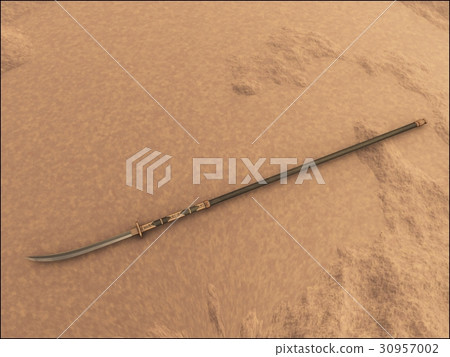 Static type Naginata 30957002