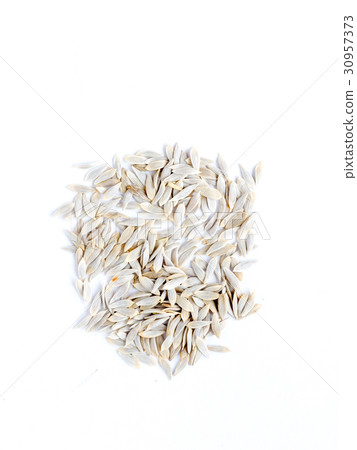 生菜種子 30957373