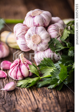 Garlic. Fresh garlic bulbs on old wooden board. Garlic. Fresh garlic bulbs on old wooden board. 30957935