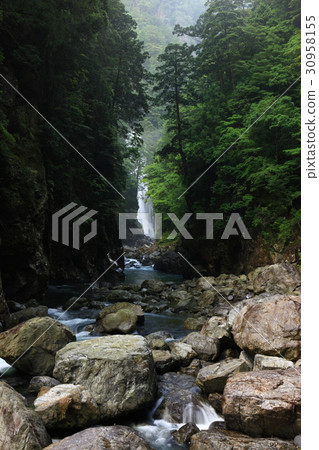 From Osugiya From Osugiya 30958155