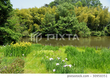 千里東町公園Hase Vault Pond 千里東町公園Hase Vault Pond 30958351