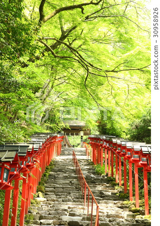 Fresh green Kifune Shrine 30958926