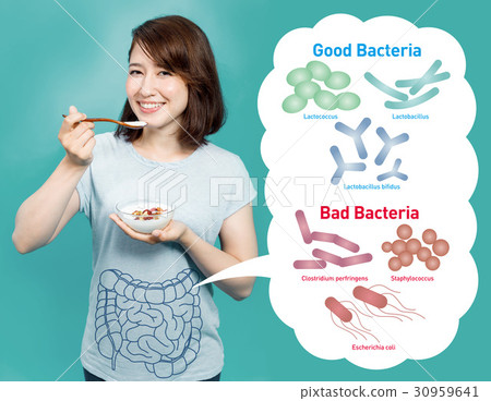 女性誰吃酸奶和好細菌/壞細菌腸道細菌的形象 30959641