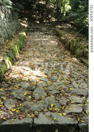 The paving of the Edo period which remains in the Kuromon gate entrance road of Matsuyama castle 30959781