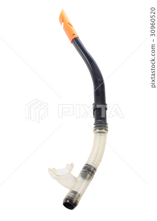 Diving snorkel on white background Diving snorkel on white background 30960520