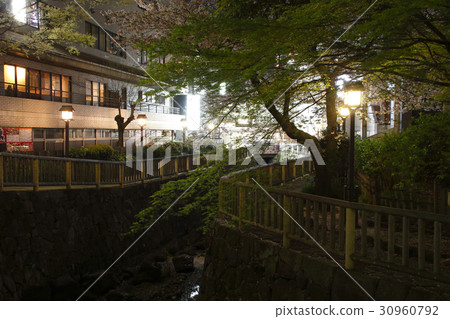 Cherry blossoms, at night's soundless water park 30960792