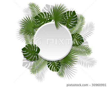 Green summer tropical exotic palm leaves Green summer tropical exotic palm leaves 30960991
