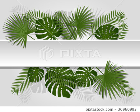 Green summer tropical header exotic palm leaves Green summer tropical header exotic palm leaves 30960992