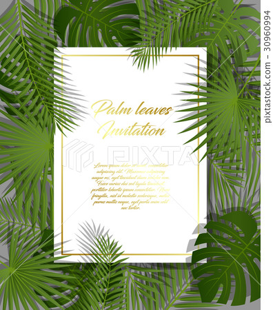 White paper tropical background exotic palm leaves White paper tropical background exotic palm leaves 30960994