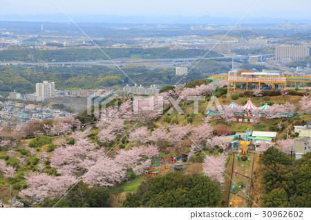 Suma Yamagami遊樂園 Suma Yamagami遊樂園 30962602