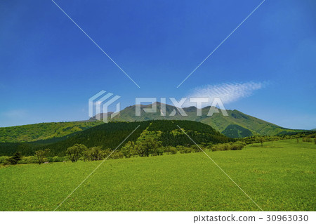 Kuzu Takahara Suzuumi 30963030