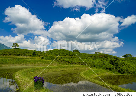 扇米飯露台 30963163