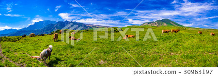 新阿蘇阿蘇全景線 30963197